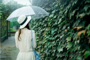 [厦门婚外情取证]婚前协议是如何签订